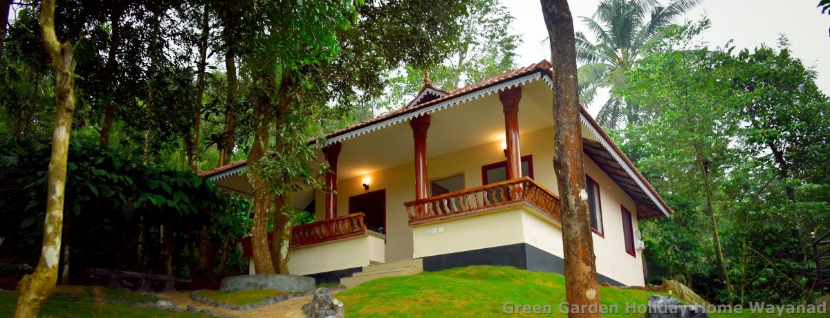 Scenic view of Wayanad mountains and valleys