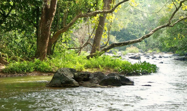 Kuruva Island